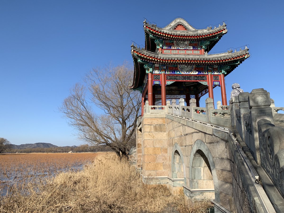 苹果xr主要是哪个摄像头拍照,苹果xr到苹果15前后置摄像头