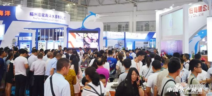 2019年海产行业,海产行业的感悟心得分享