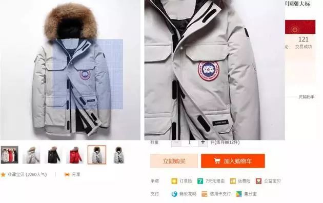 考拉加拿大鹅最新结果,考拉加拿大鹅真假对比