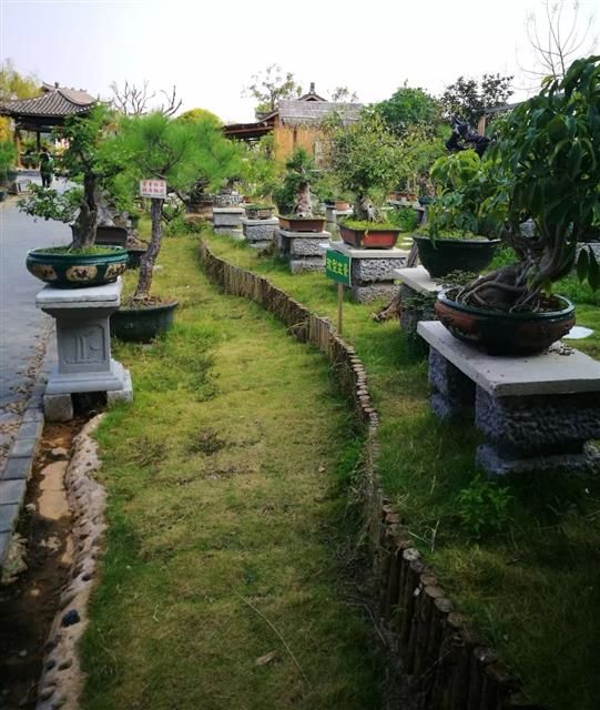 探访桂林东西巷历史文化街区,城事记忆展