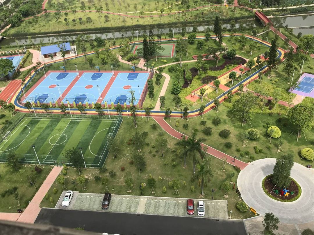 中山新增公园地址,中山紫马岭公园今年春节开放吗