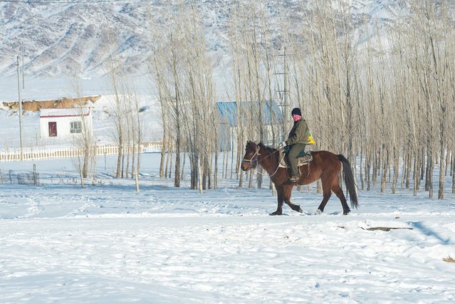 冬日喀纳斯,梦中的冰雪童话世界
