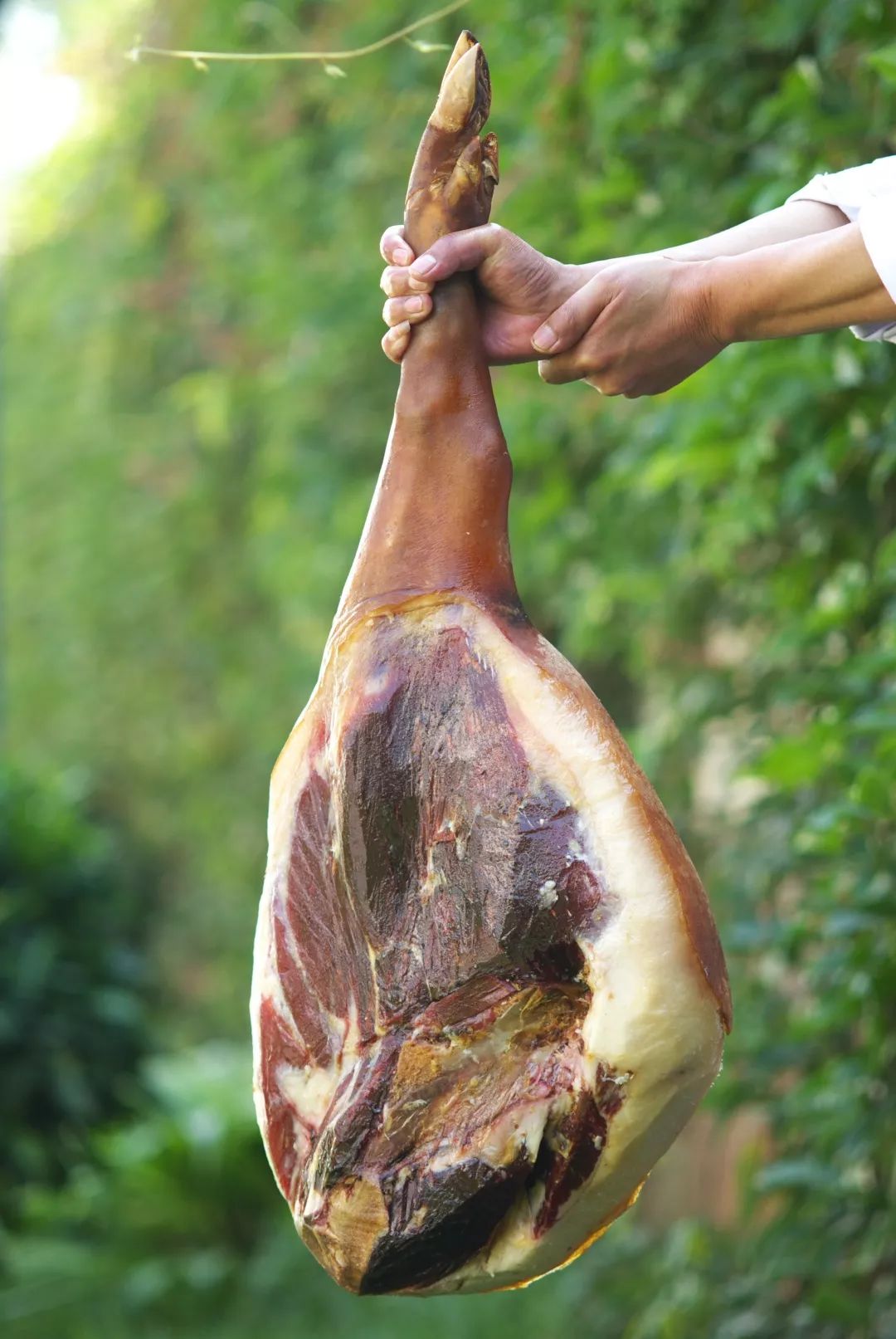 云南火腿分布图,云南火腿室内图片