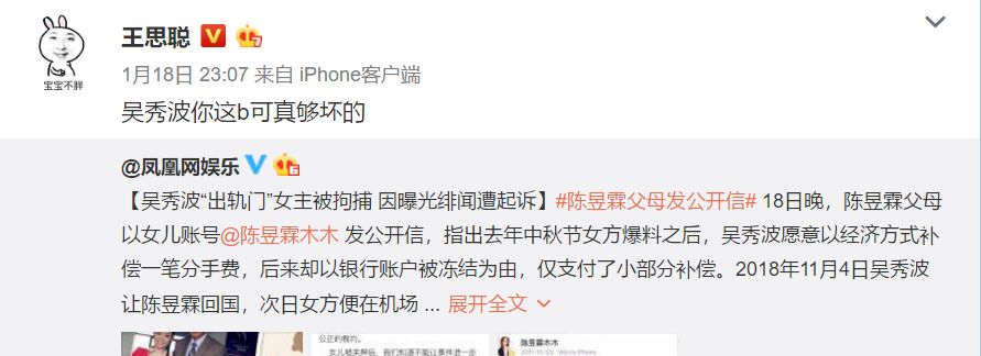 吴秀波小三被抓,吴秀波的女友被判几年