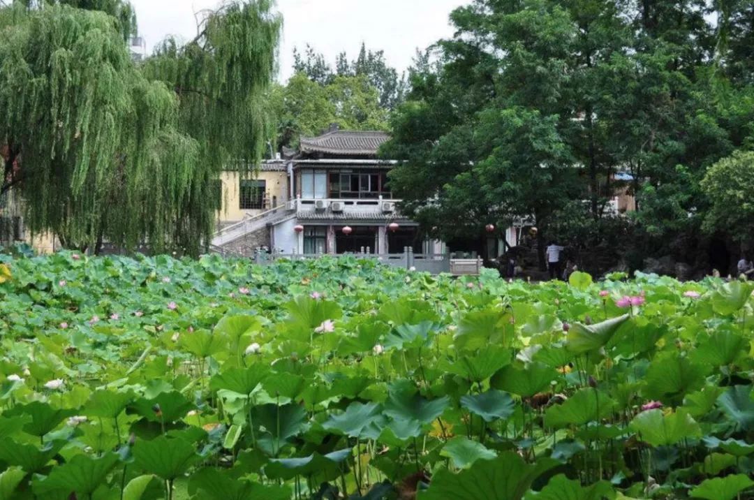 西安最美公园秋景图片,西安动物园旅游手绘示意图