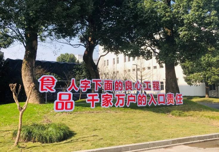 独家深读丨三年间从濒临破产到起死回生，祐康为什么能稳住？