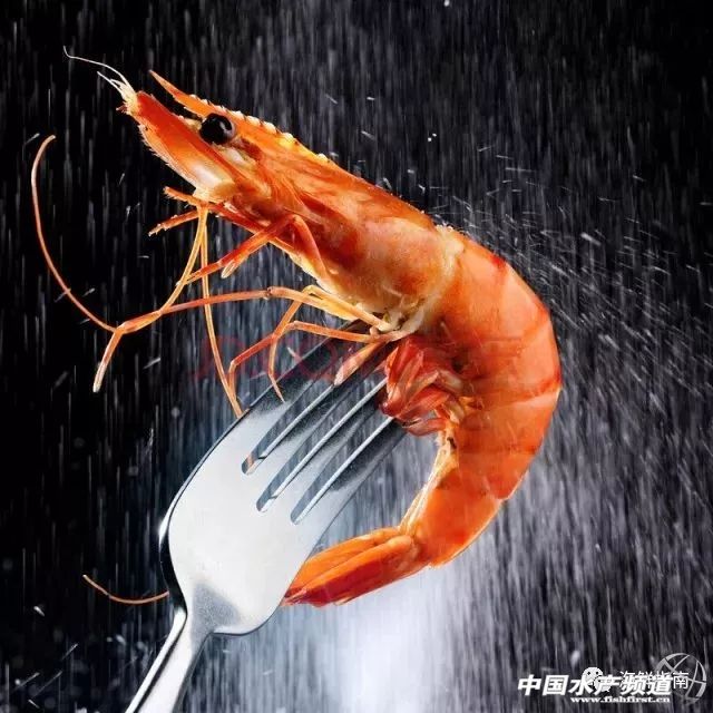 饭店做的白灼虾为啥那么好吃,大排档的白灼虾为什么那么鲜甜