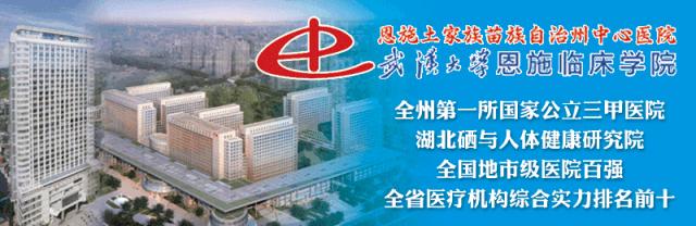 湖北恩施申请助学贷款的网站,恩施助学贷款在哪里办