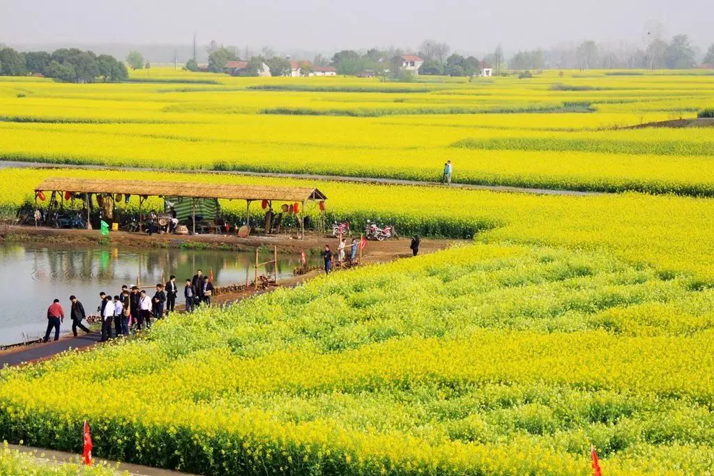 郑州欢迎你2018,2020郑州招才引智大会