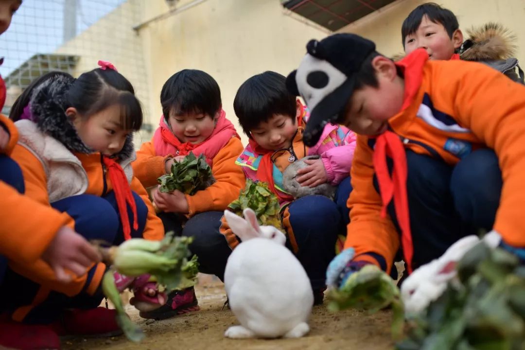 农村娃的快乐王国——郓城黄岗小学“田园课程”魅力何在？