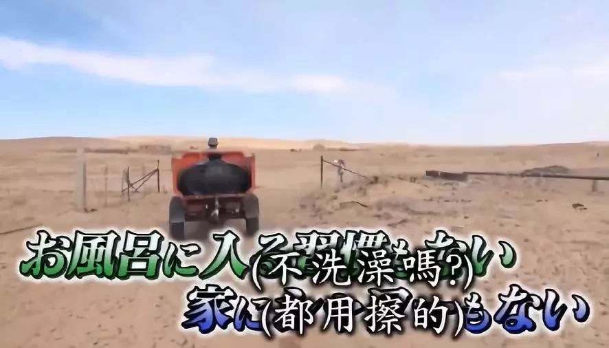 这位日本女人嫁到内蒙古牧区只为和丈夫在沙漠上种树