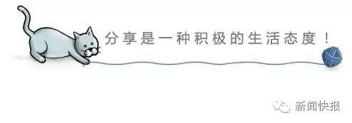 河北电视台邢台站招聘信息,邢台市明日招聘