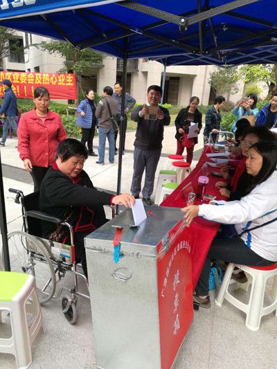 业委会的依法维权,业委会业主集体维权