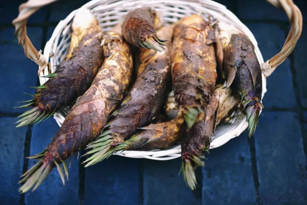 「收藏」不能错过的小美好！上海12个月行走指南来啦