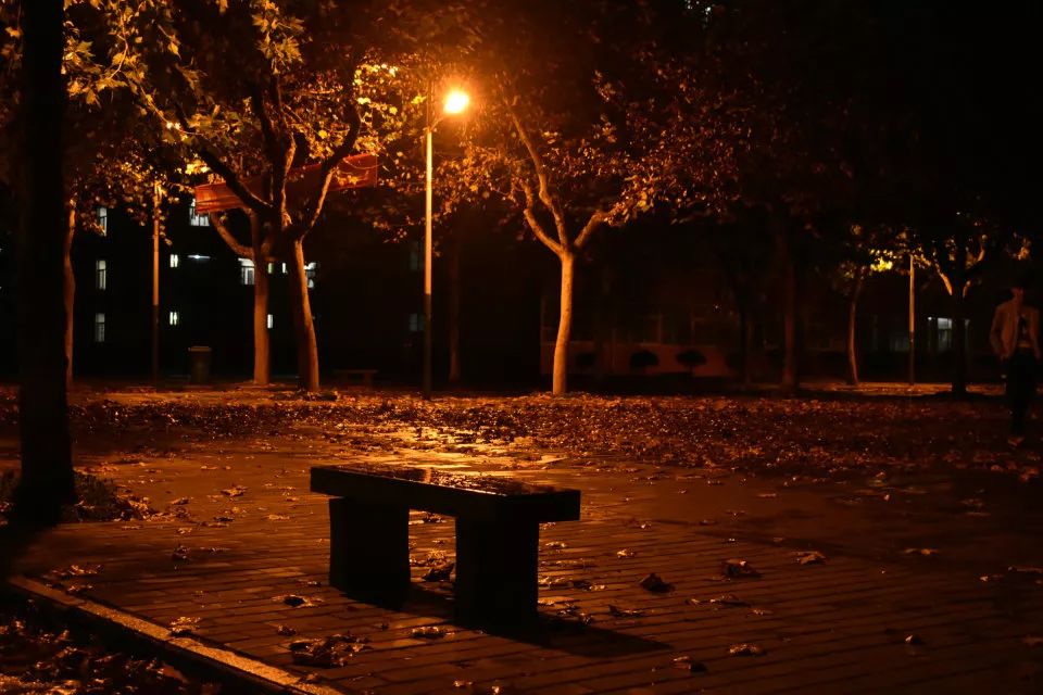 全国第47，全省第3丨陕西国防职院告诉你“啥是佩奇”