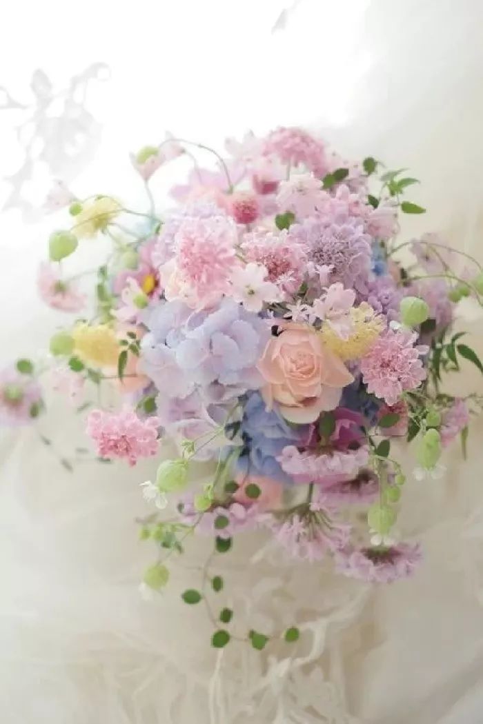 神奇的中文十人有九人读错,神奇的中文10人读9人读错