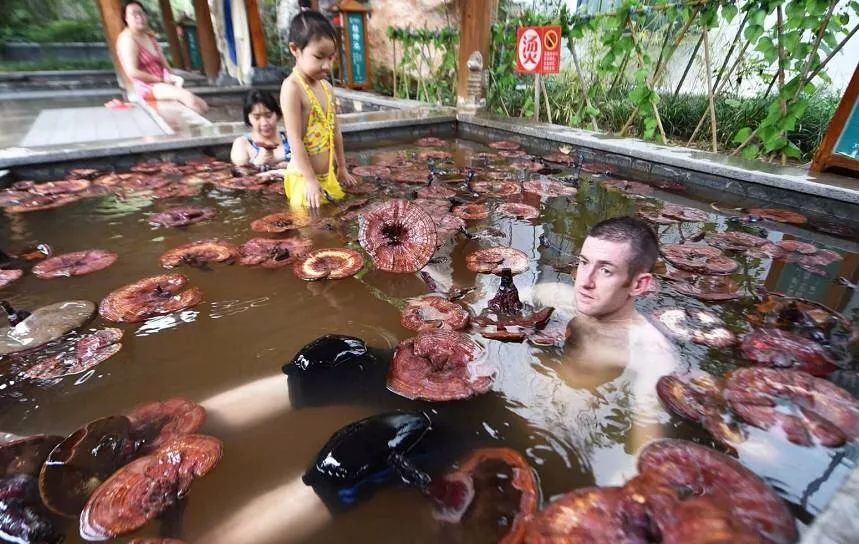 洛阳凤翔温泉特价门票夜泡,洛阳凤翔温泉的免费模式