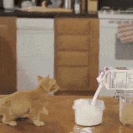 4种常见饮品切忌空腹喝,可以长期喝的健康饮品