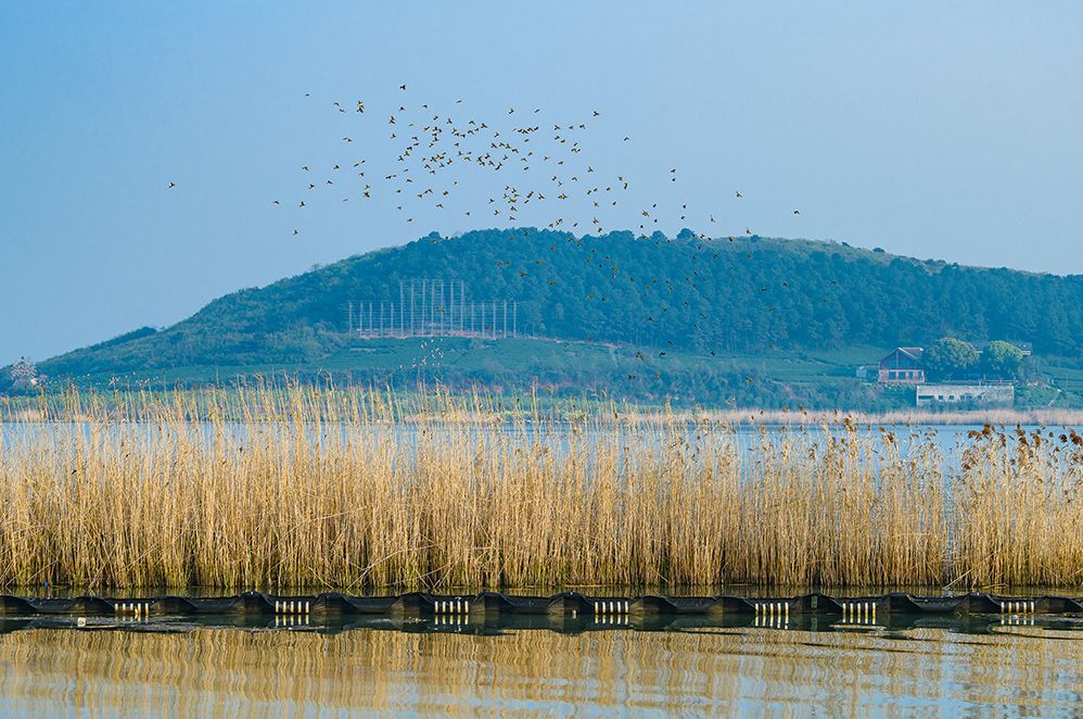 请回答2017,请回答2020总结