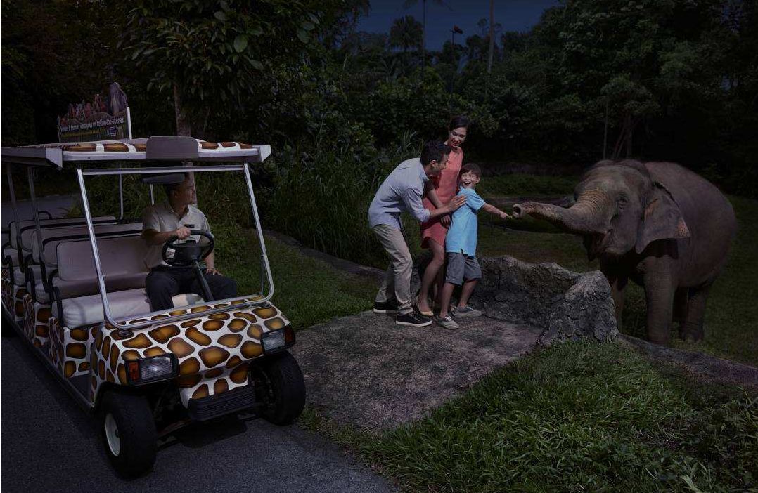 1640元！徐州人可以直飞新加坡了！鱼尾狮像、环球影城、肉骨茶，走起……