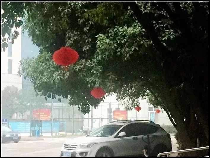 以干净整洁的环境迎接新春佳节,年度工作总结动员部署