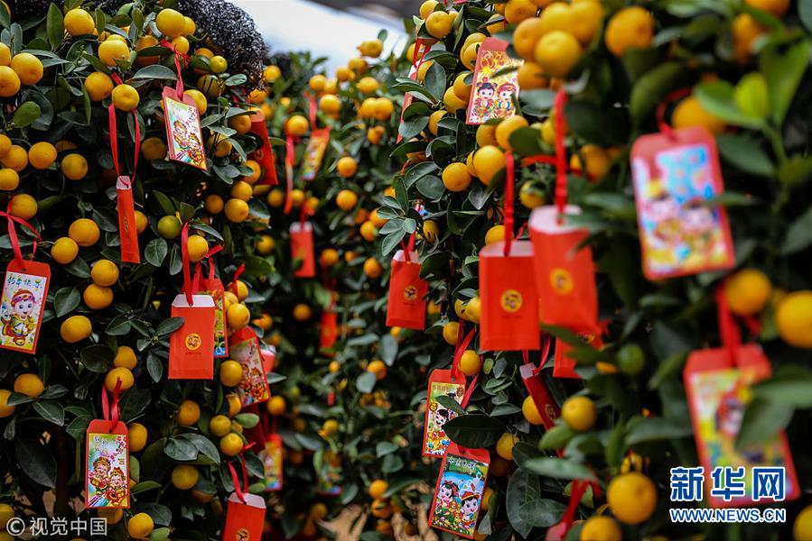 张家口新闻1频道,张家口新闻早播报