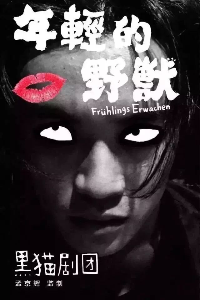 你好啊，我的企鹅姑娘