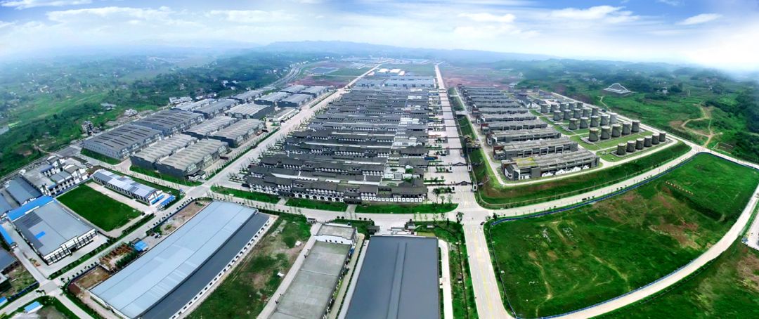 浓香鼻祖是什么酒,浓香鼻祖是谁