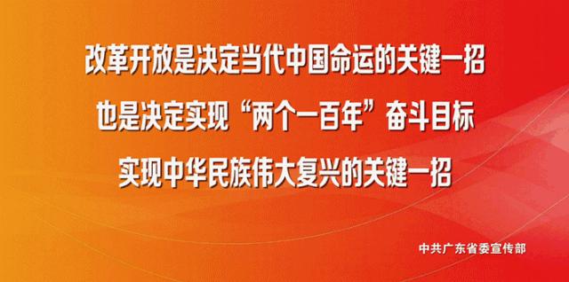 老照片1987年的夏天校园,夏西旧照片