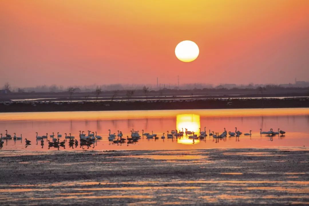 武汉竹叶海湖生态湿地公园,武汉东湖绿道湿地公园