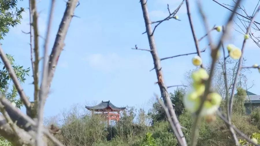 赣州开放公园景区,赣州景区关于开放的通知