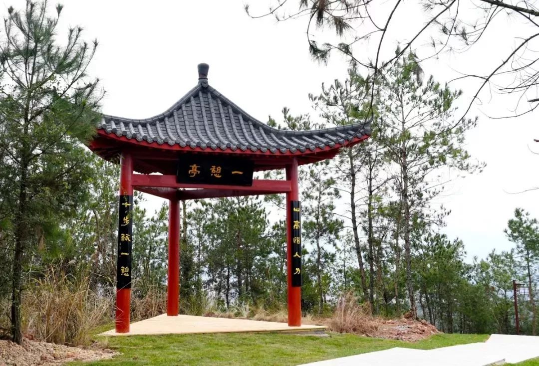 赣州开放公园景区,赣州景区关于开放的通知