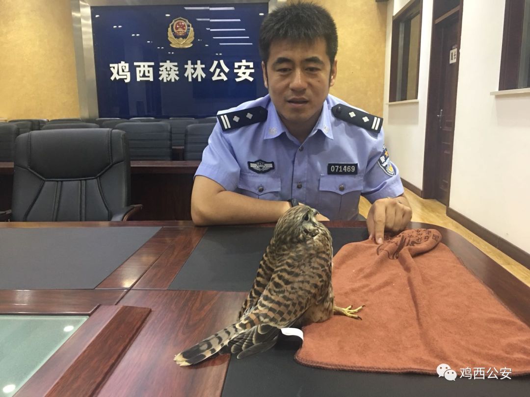 民警不忘初心的坚守视频,基层民警从警二十年感悟