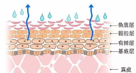 3天不洗头头皮特别多,3天不洗头头皮好臭