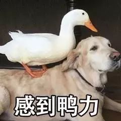 既是舅舅又是姑父应该叫哪个称呼,姑父的舅舅