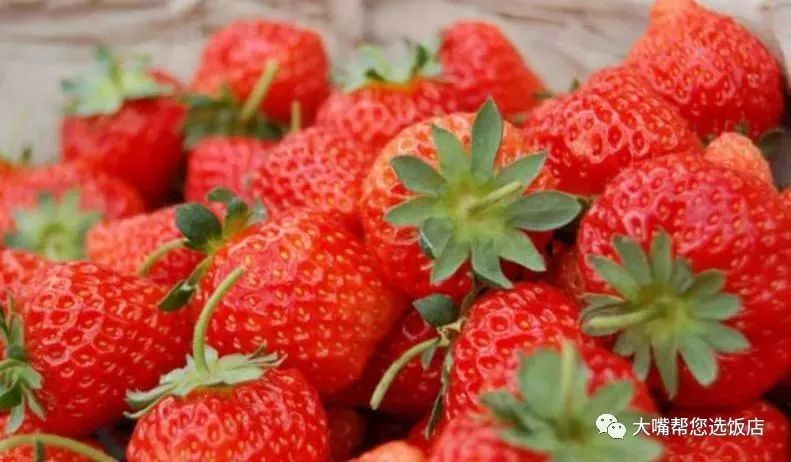 大连摘草莓一日游,大连摘草莓适合去的地方