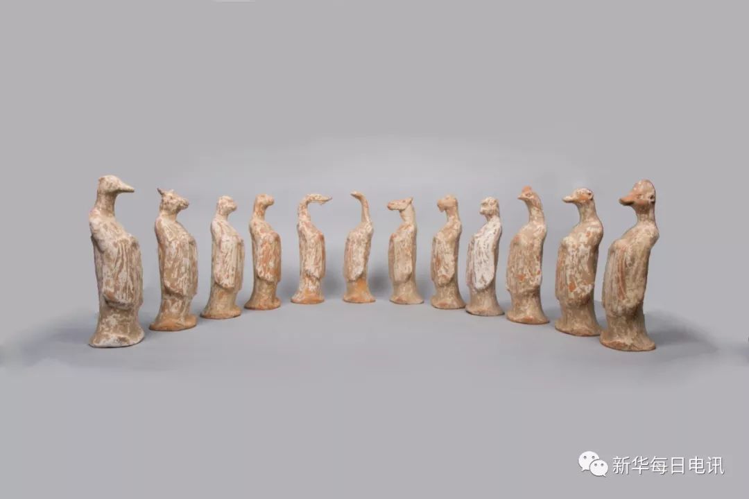 猪年的吉祥物叫什么,寻找鼠年吉祥物