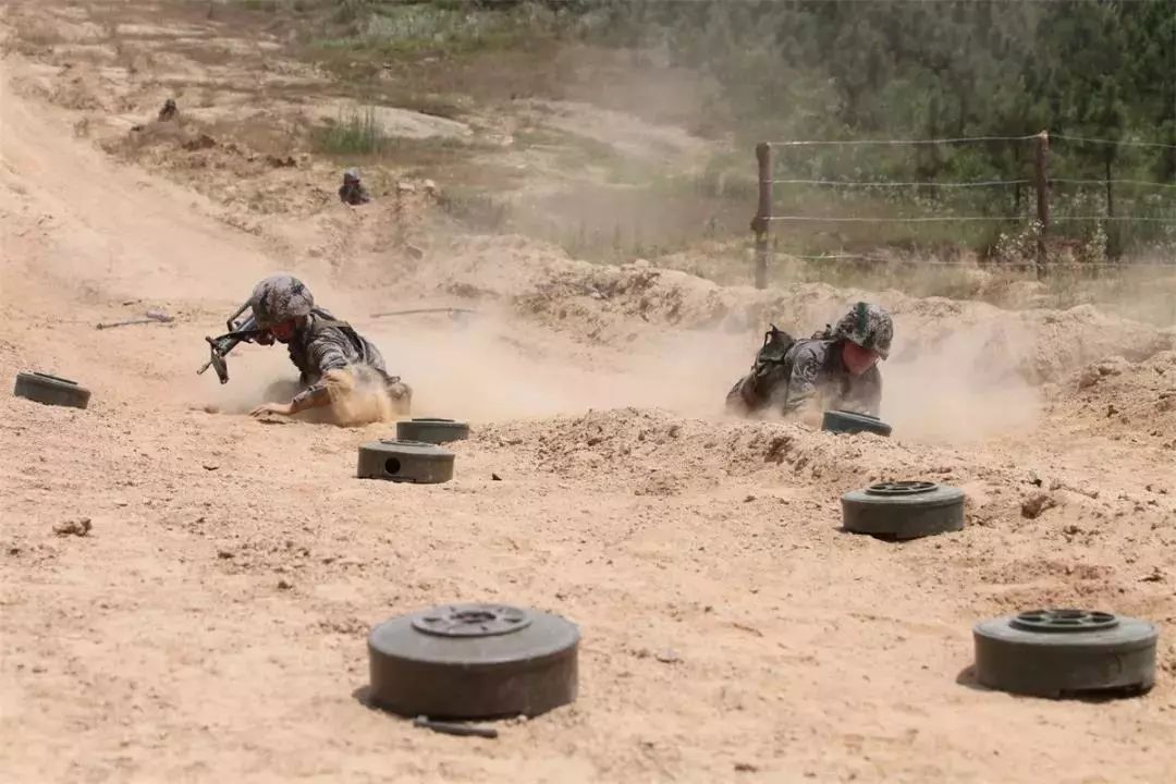 关注退役军人了解更多知识,关注军人