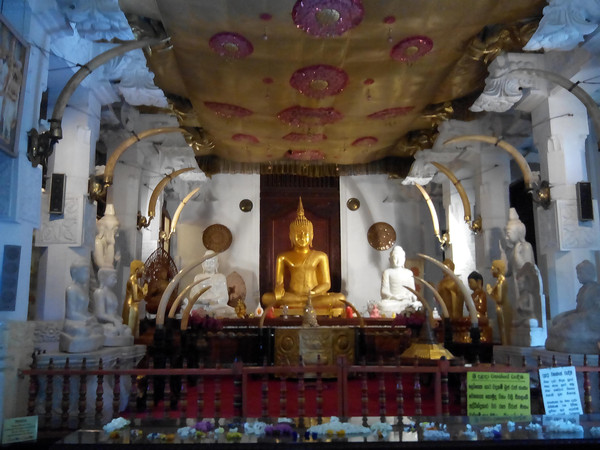 斯里兰卡是一个好地方,探访斯里兰卡之旅