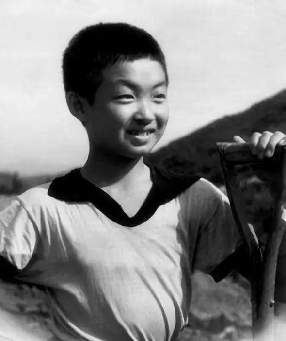 金星幸福的人生,金星的幸福