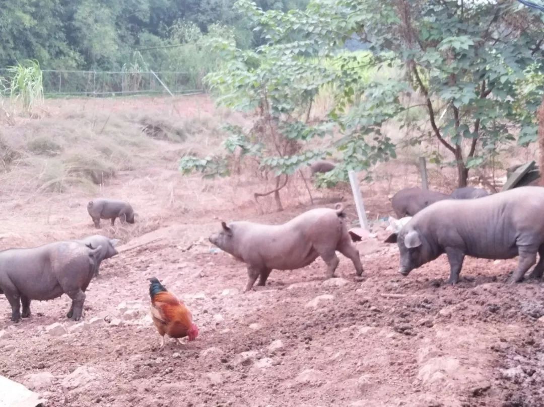 「招聘」2月12日横县大型招聘会，100家单位提供7689个岗位，优秀的你千万不要错过！
