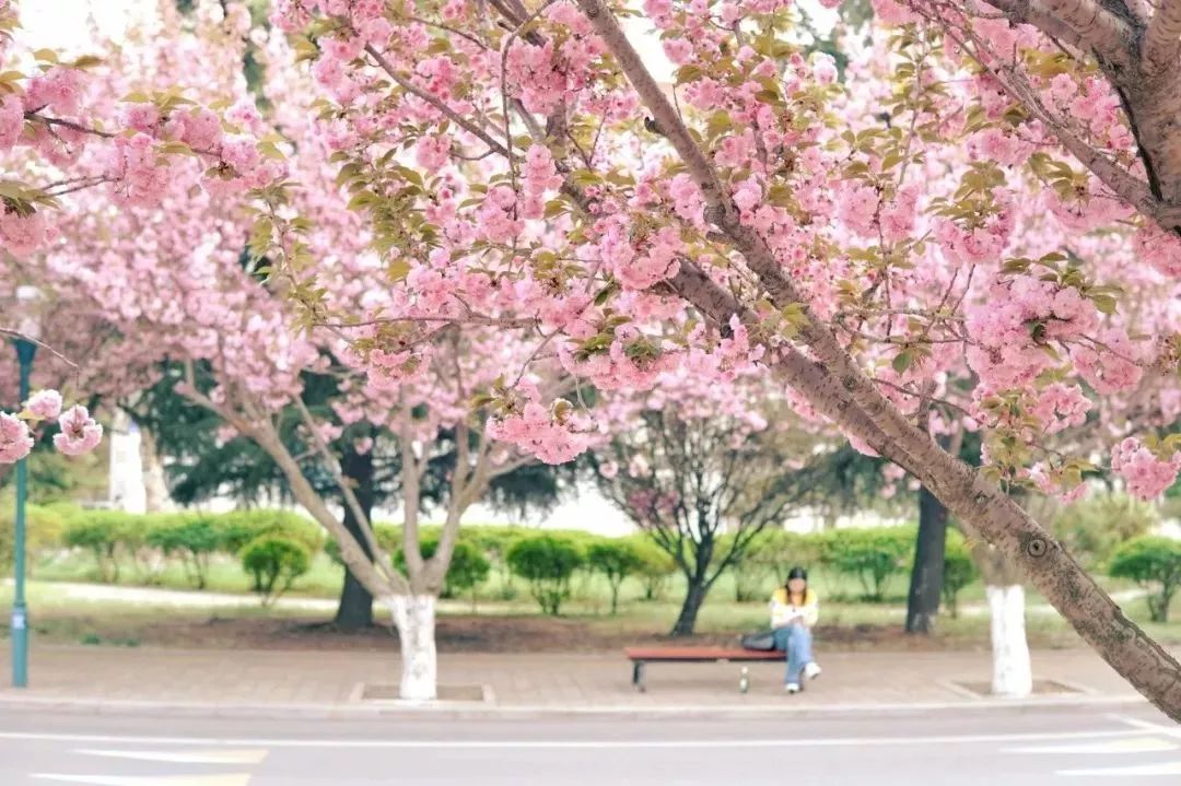 2022年3月机票便宜,三月下旬厦门到成都机票价格