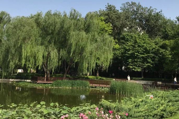 北京免费公园景点大全,北京爬山十大免费景点