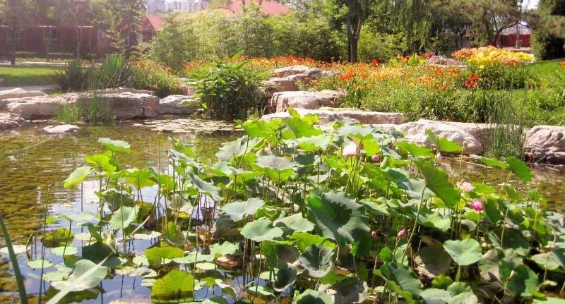 北京景点60周岁哪些免费,北京夏天旅游攻略免费景点