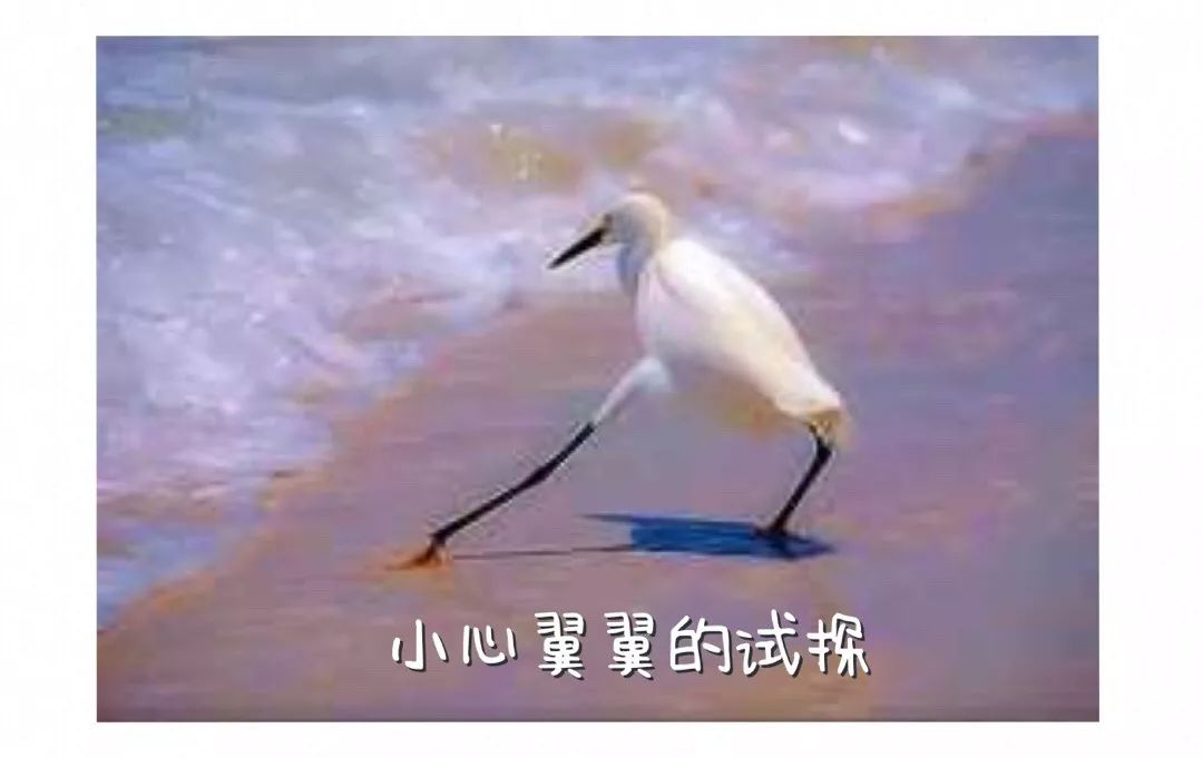 网银转账转错了怎么退回来,银行转账转错了怎么退回来