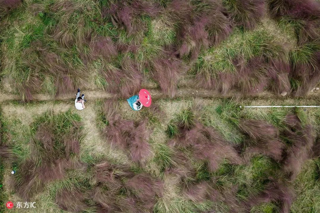 钟振彬:在俄罗斯,我真的拼了命|东方IC摄影师自选辑