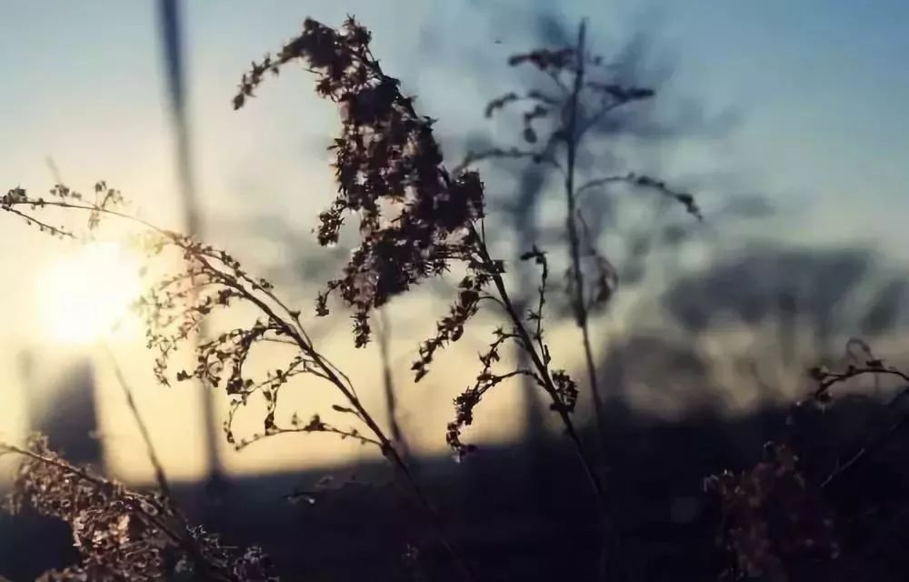 悲喜交接打一字,悲喜交集