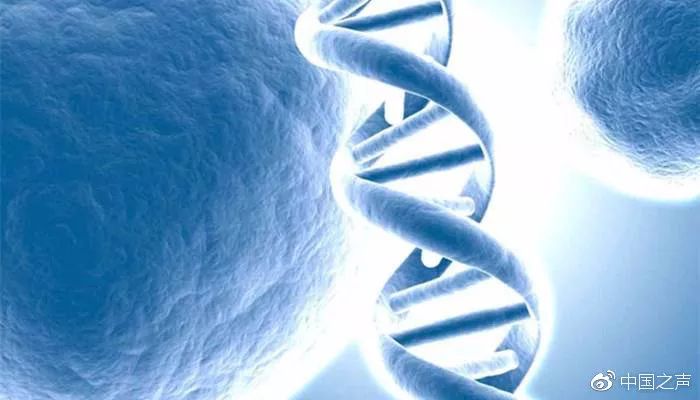 疟原虫治癌最新报道,疟原虫治疗晚期癌症被叫停