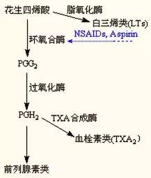 真的很多女生痛经吗,你真的知道痛经吗
