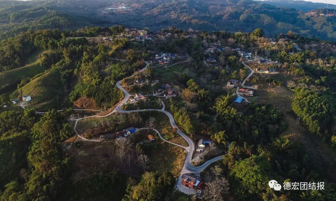 春天真的来了，这群鸟在瑞丽户瓦山大秀恩爱！